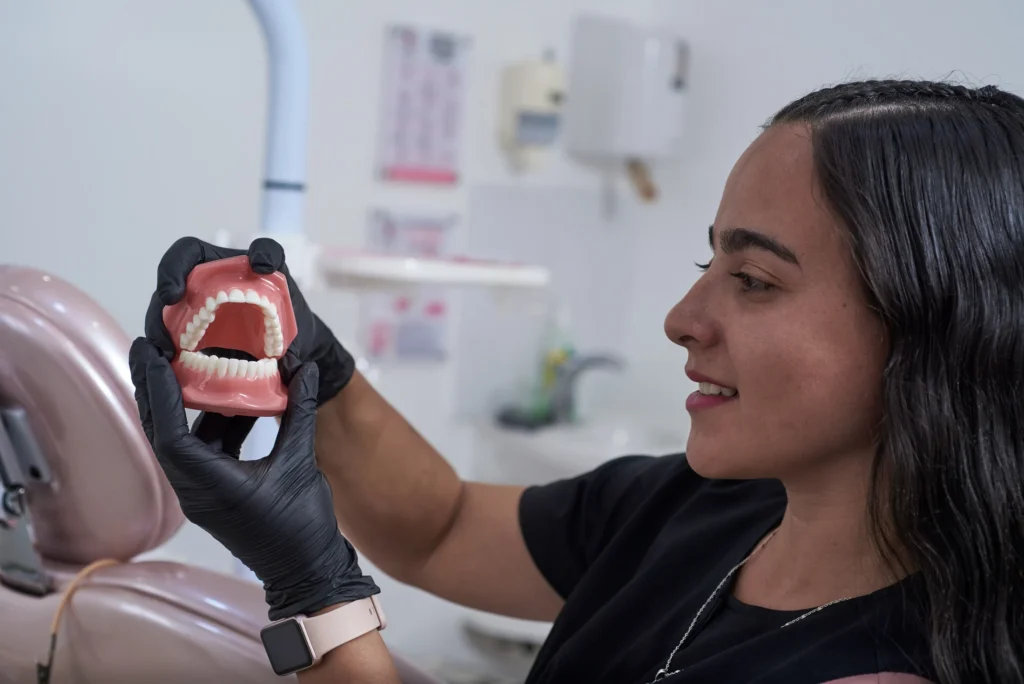 Profesional mostrando un modelo dental en consultorio